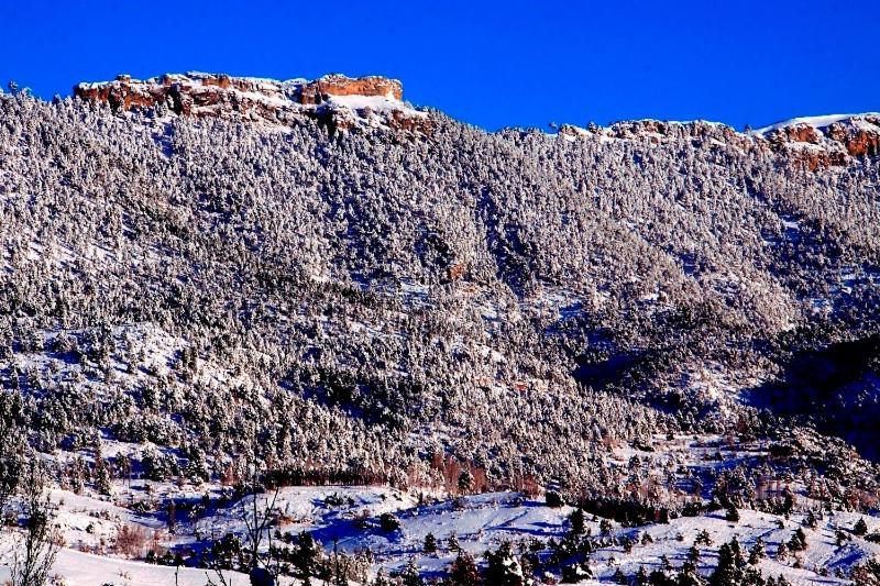 Casa Rural Nacimiento Rio Mundo Riópar エクステリア 写真